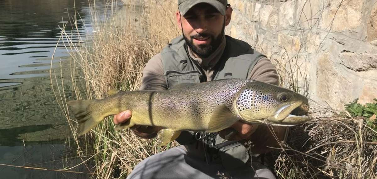 Où pêcher la truite - Fédération de pêche de Saône-et-Loire