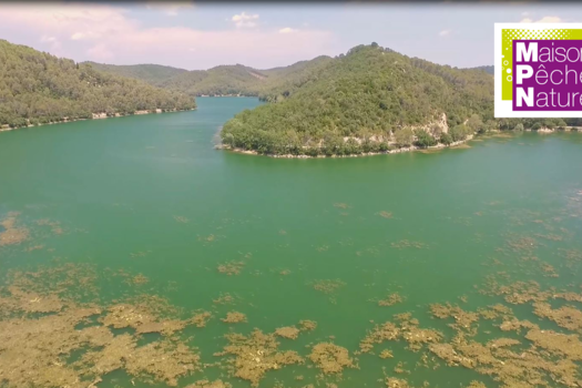 VISITE ET ANIMATIONS PECHE A CARCÈS