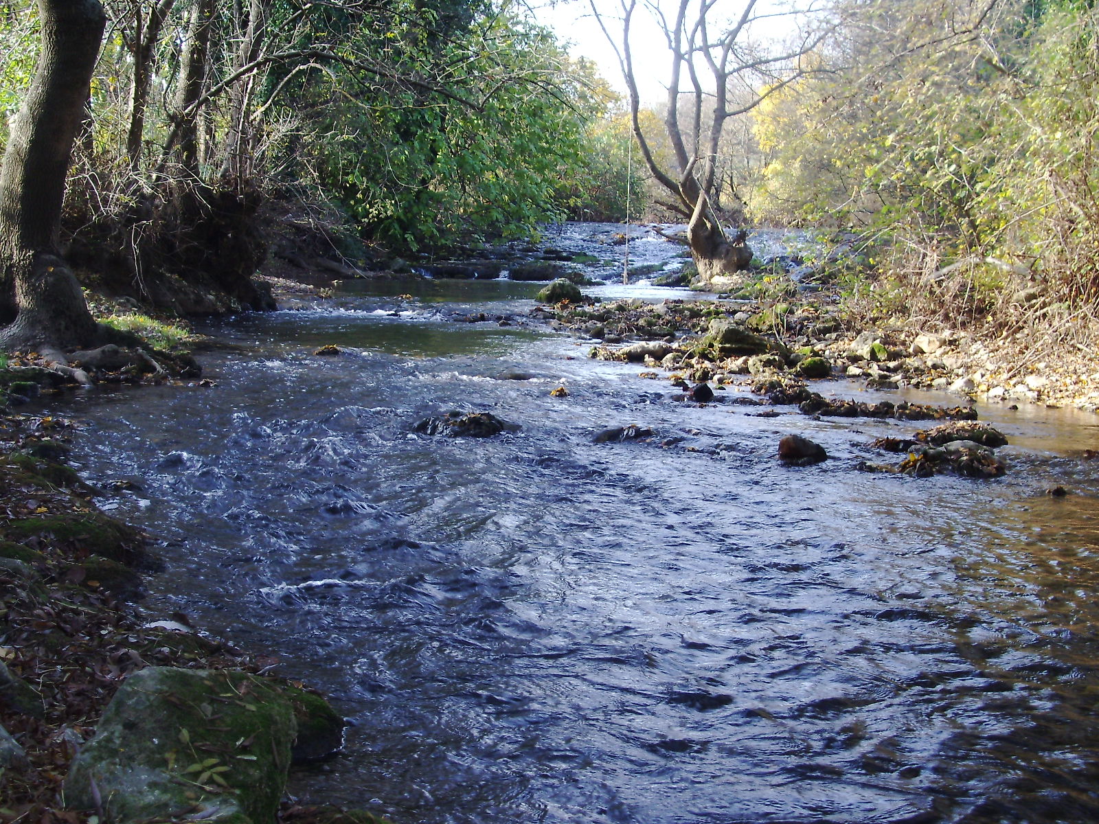 peche truite issole