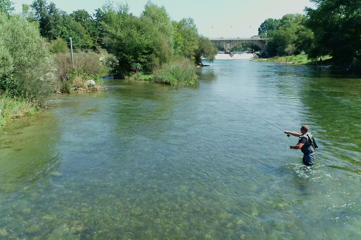 PÊCHE DE LA LA TRUITE - OUVERT - FERMÉ?