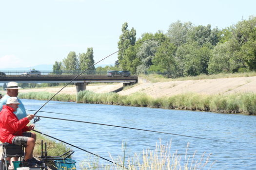 La pêche dans le Reyran et la Grande Garonne en vidéo !
