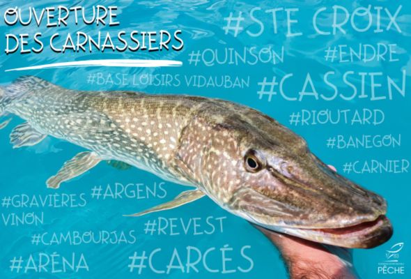 OUVERTURE PÊCHE DES CARNASSIERS - Fédération de pêche du Var