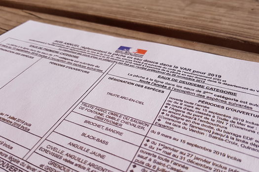 L'AVIS ANNUEL 2019 EST EN LIGNE