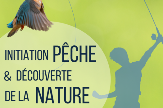 Animation Sauvebonne 