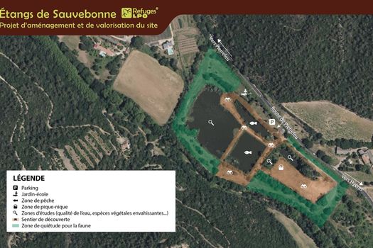 Etangs de Sauvebonne à Hyères: la pêche associative partenaire du plan de gestion