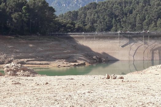 INFOS LAC DU REVEST ET LAC DE L'AVELLAN