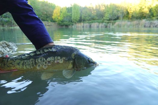REMPOISSONNEMENT SECONDE CATÉGORIE HIVER 2023/2024