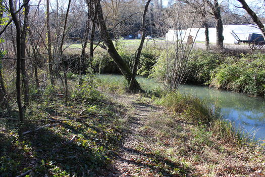 Mobilisation "Mon eau, ma rivière : La Ribeirotte"