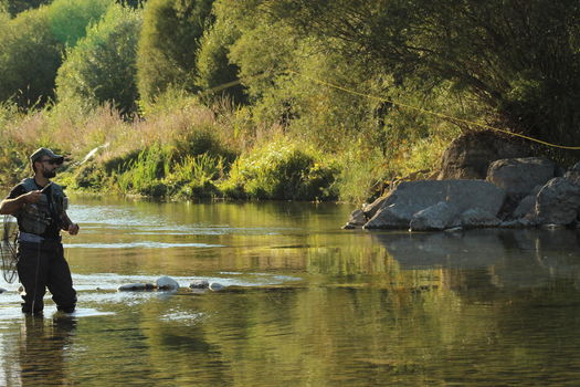 Prolongation de la pêche à la truite dans le Bas Verdon et la Siagne