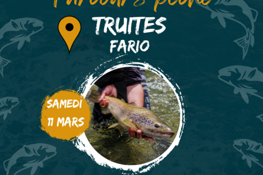 OUVERTURE 11/03 : OU PECHER LA TRUITE FARIO?