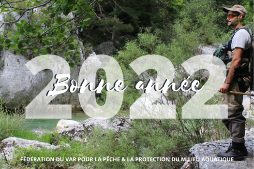 BONNE ANNÉE 2022