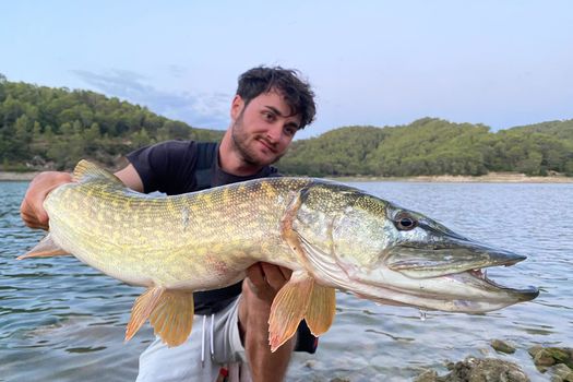 DU "PIKE" AU LAC DE STE SUZANNE !