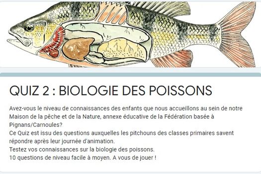 Retrouvez des Quiz et des jeux pêche !