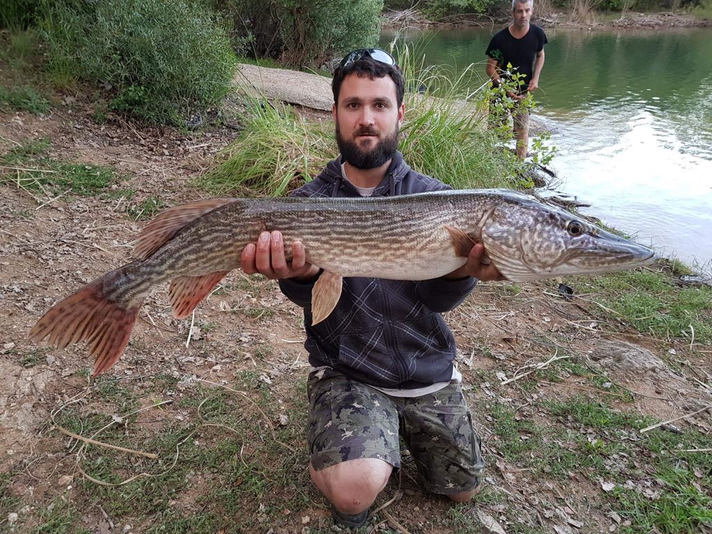 ouverture peche au brochet 2019